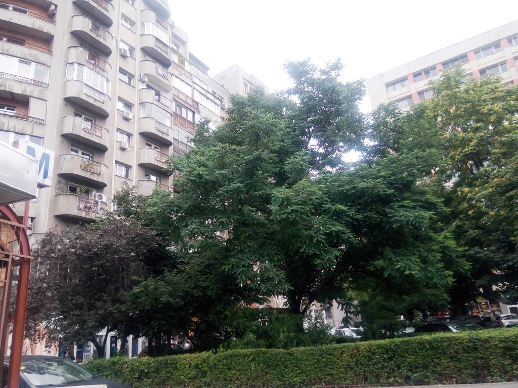 Apartament Dana Bukarest Exterior foto